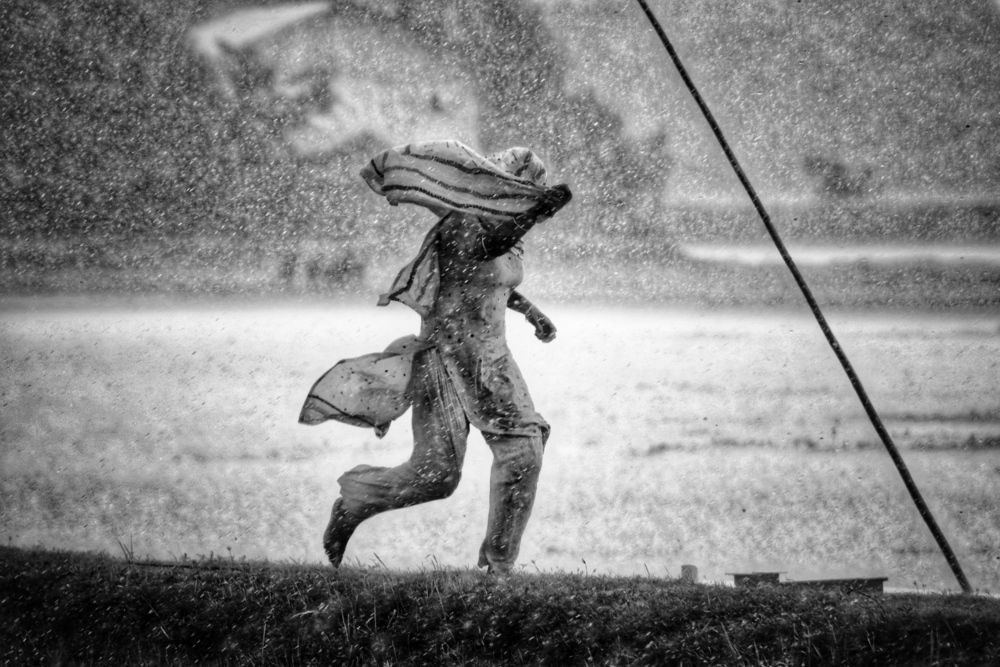 Фотография автора Washiful Majid