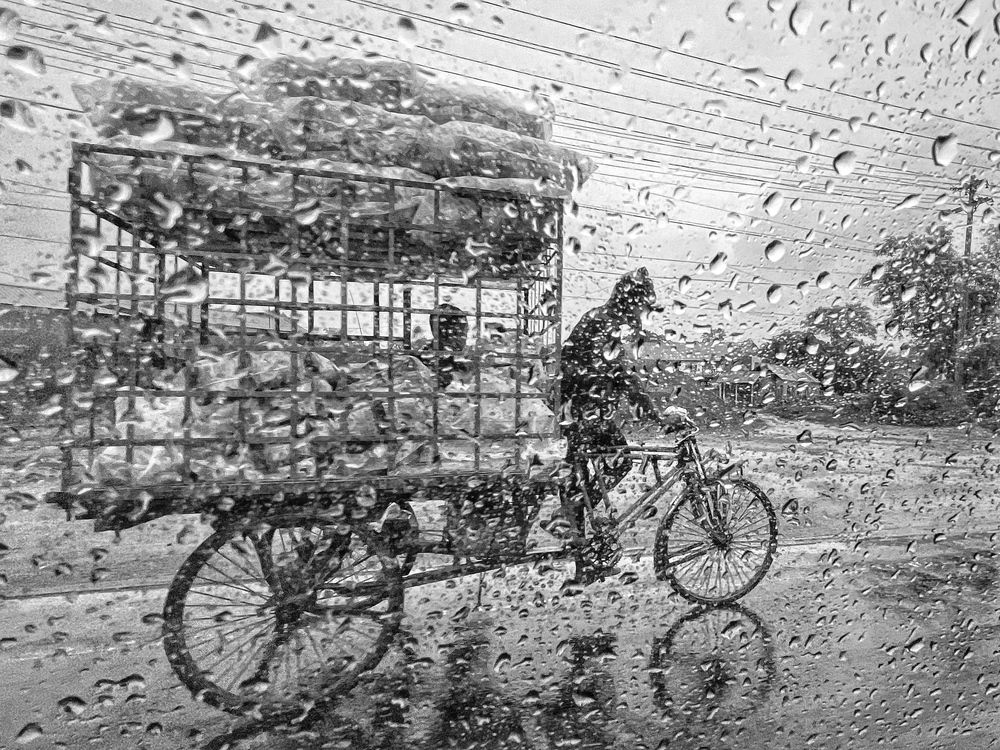 Фотография автора Washiful Majid