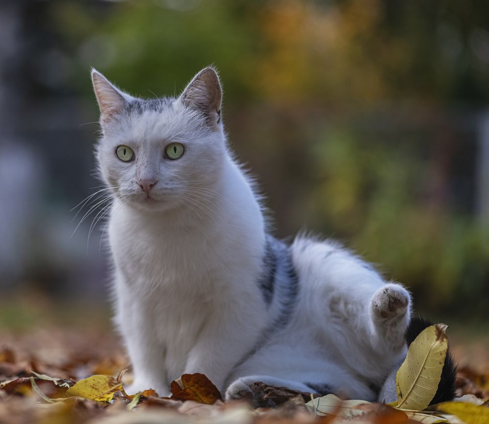 Photograph by Чухров Дмитрий