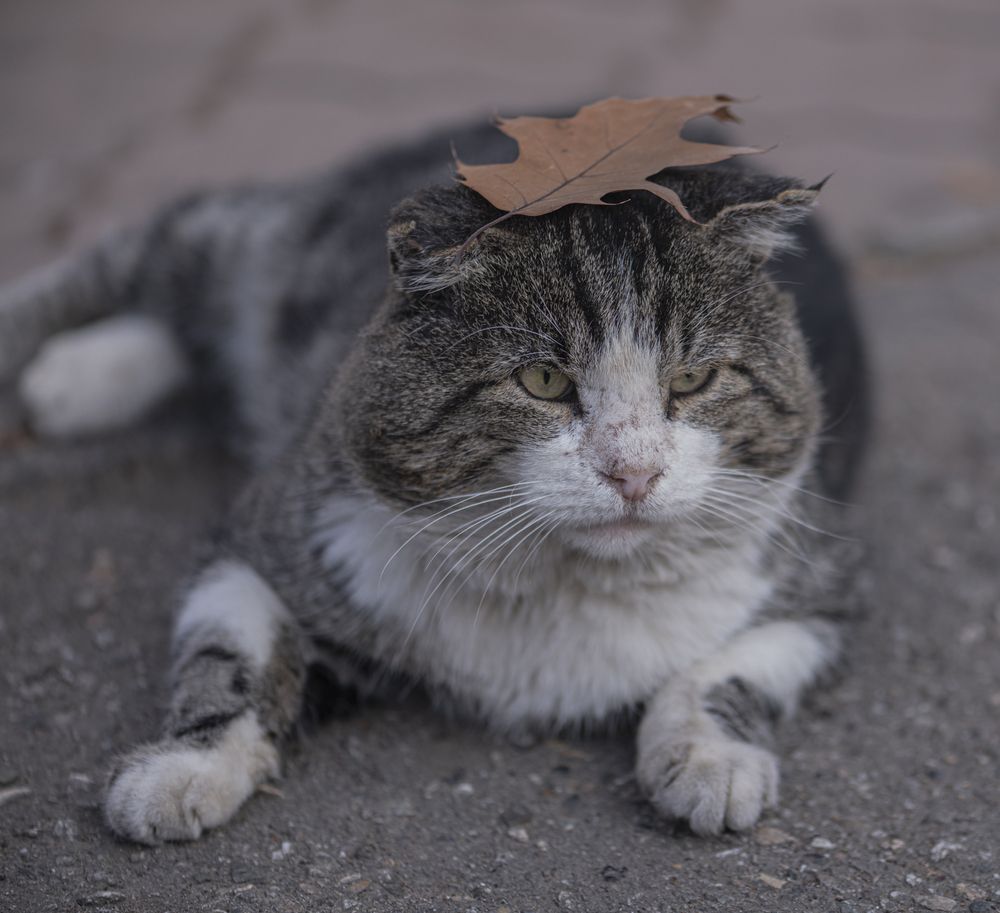 Photograph by Чухров Дмитрий