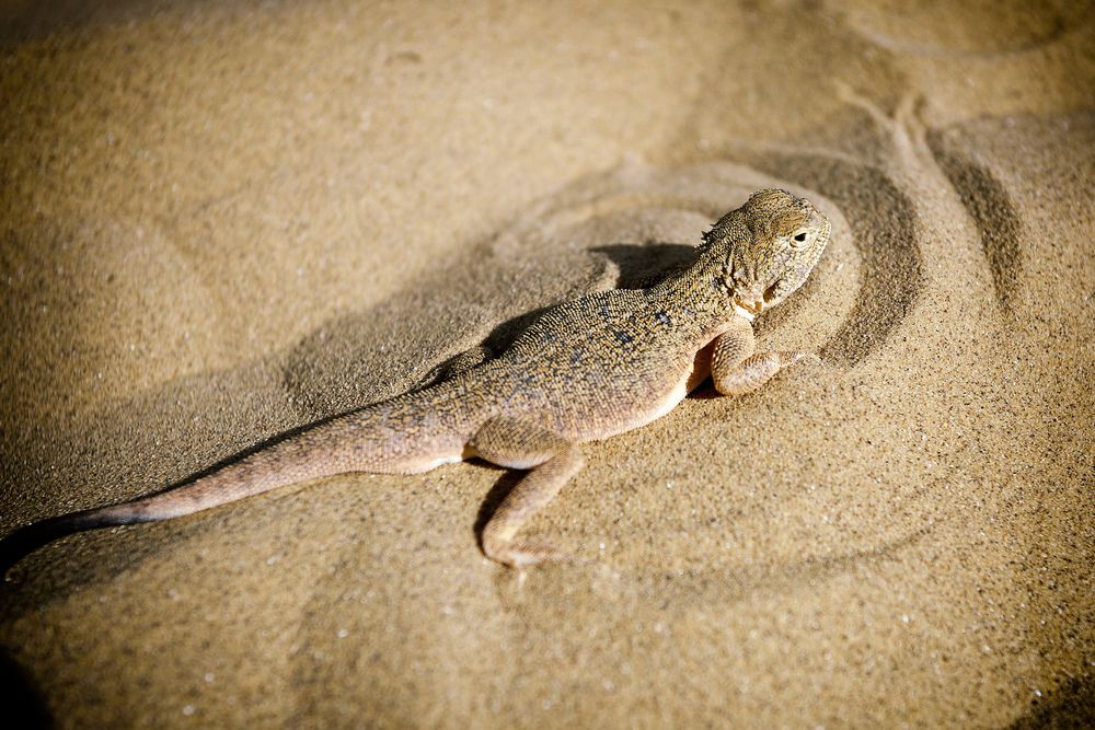 Фотография автора TOTORO