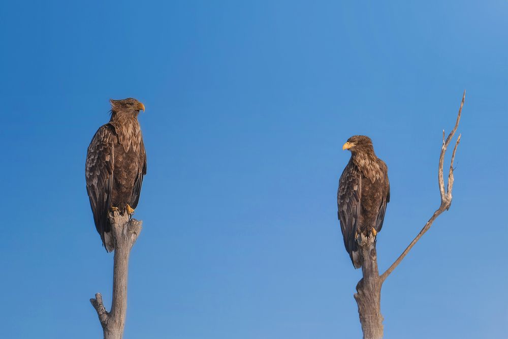 Photograph by Nephotograph