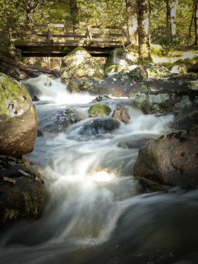 Photograph by Michael Gault