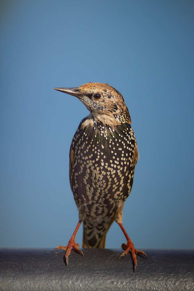 Photograph by Овчинников Дмитрий