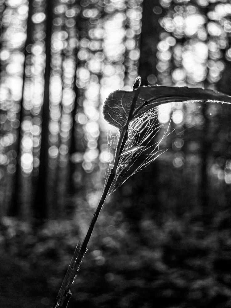 Photograph by Вячеслав Волосников