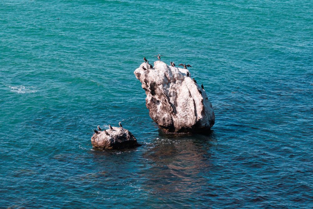 Photograph by Ярослав Качура