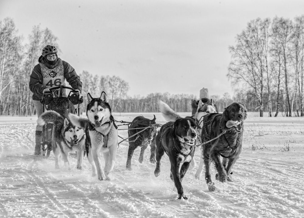 Photograph by Елена Павлова