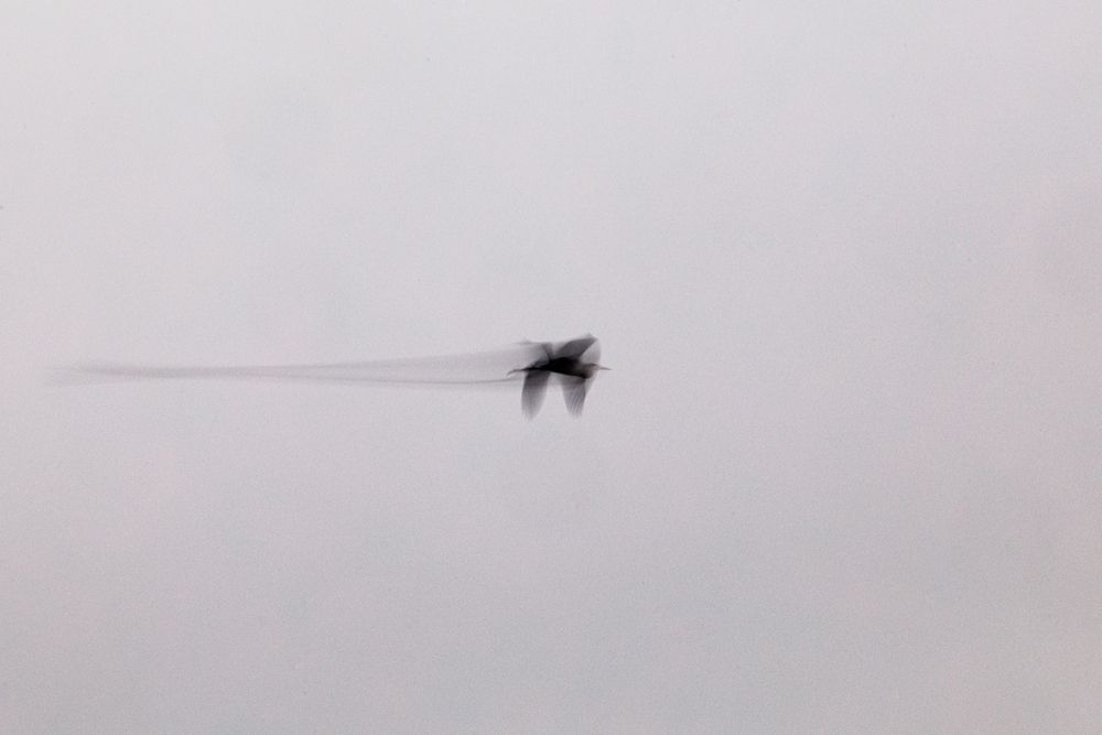 Фотография автора Patryk Kurc