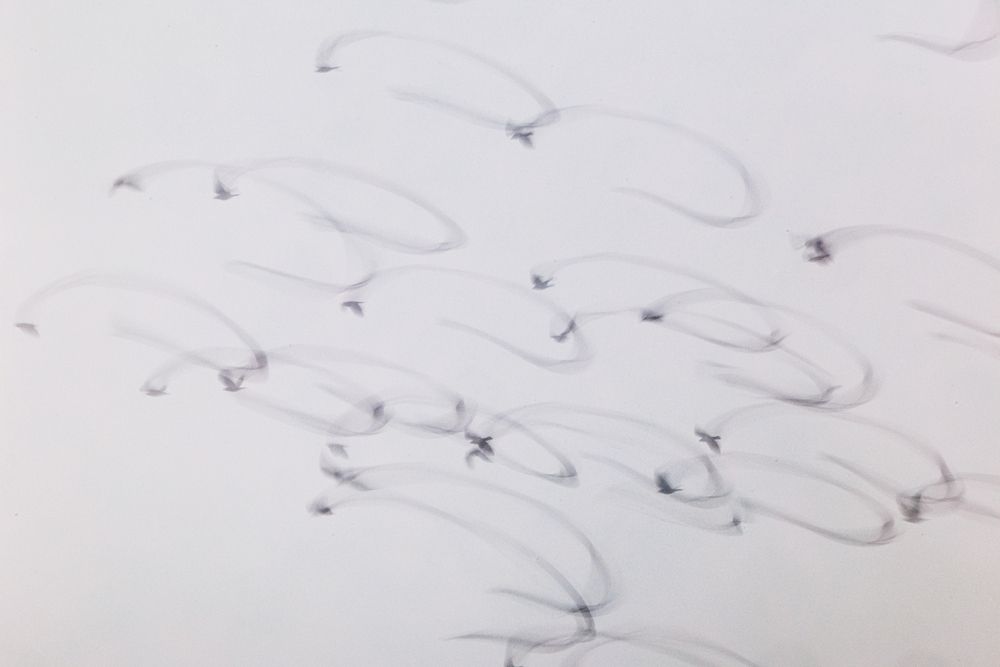 Фотография автора Patryk Kurc