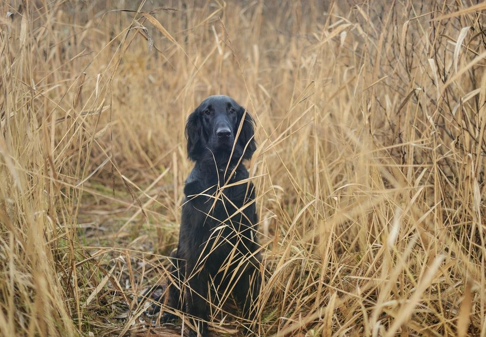 Photograph by Олеся Вушкина