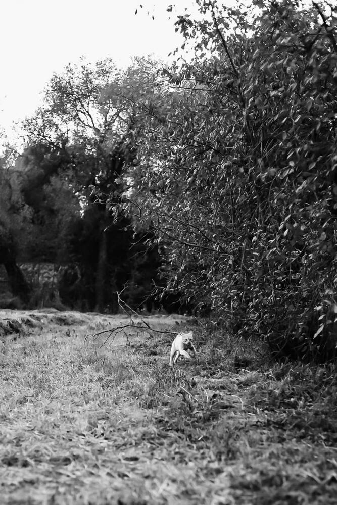 Photograph by Руслана Ковалевская