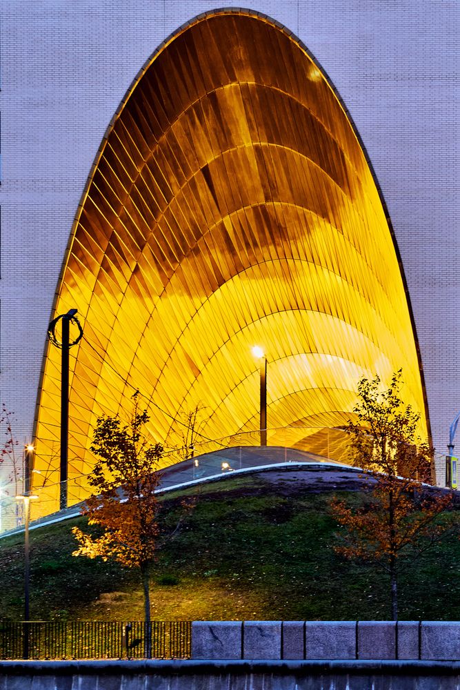 Фотография автора TOTORO