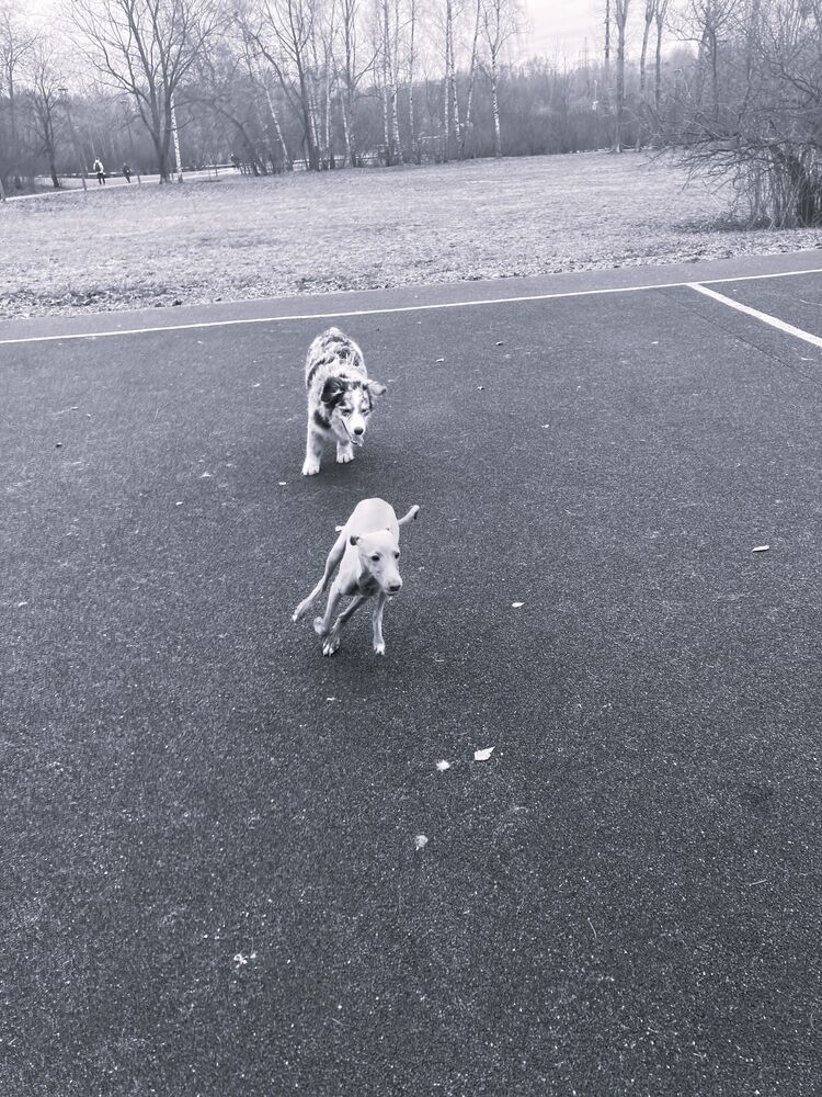 Photograph by Светлана Парамонова