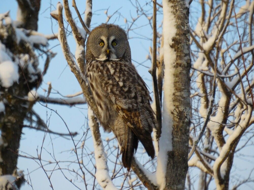 Photograph by Людмила Кононова