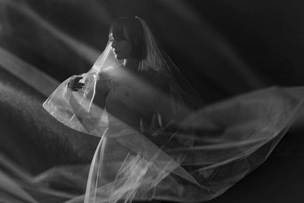 Photograph by 小山 猛