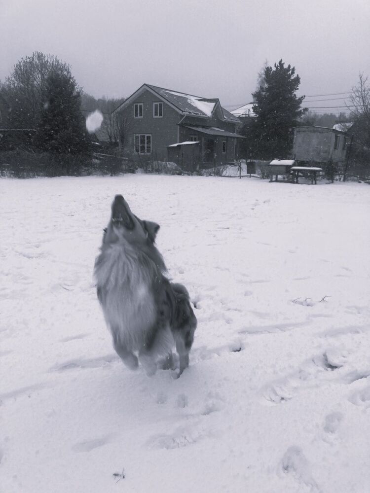 Photograph by Светлана Парамонова