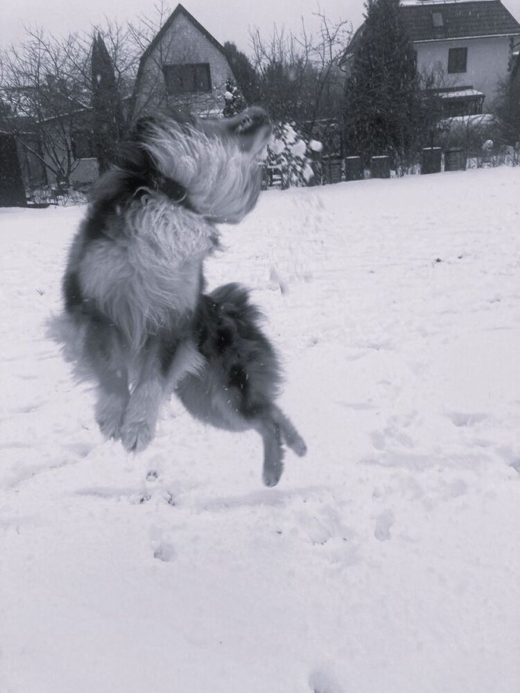 Photograph by Светлана Парамонова