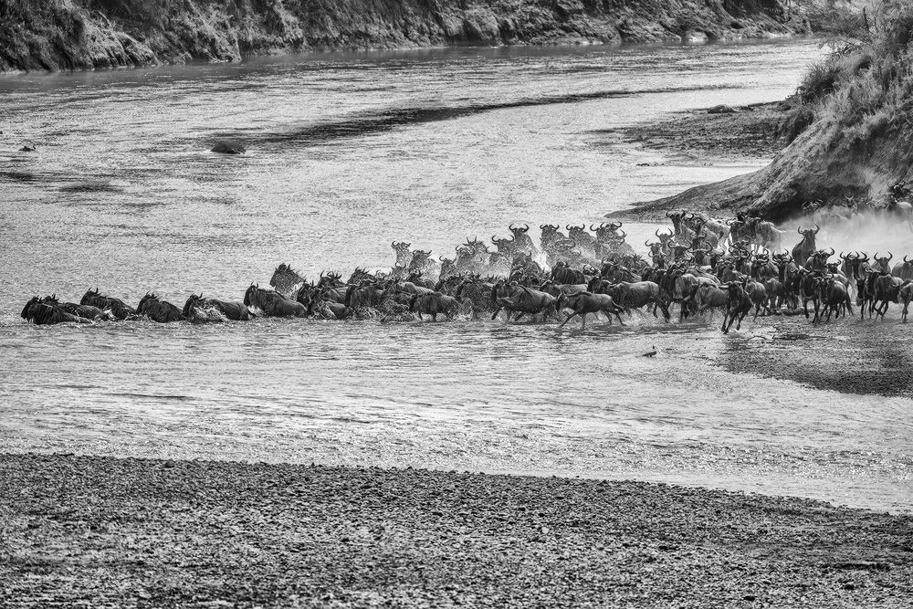 Фотография автора Bhupender Gupta