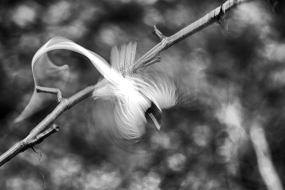 Фотография автора Bhupender Gupta