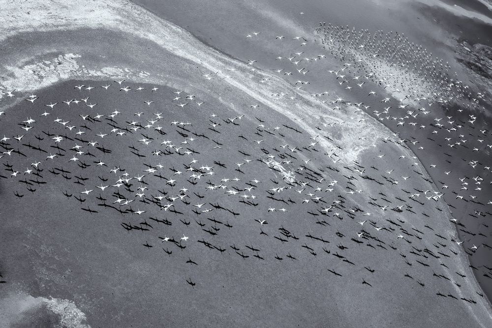 Фотография автора Bhupender Gupta