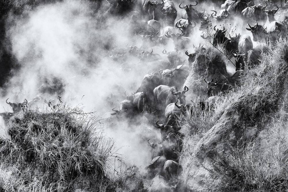 Photograph by Bhupender Gupta