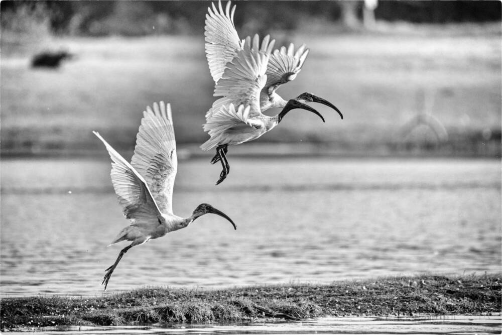 Фотография автора Bhupender Gupta