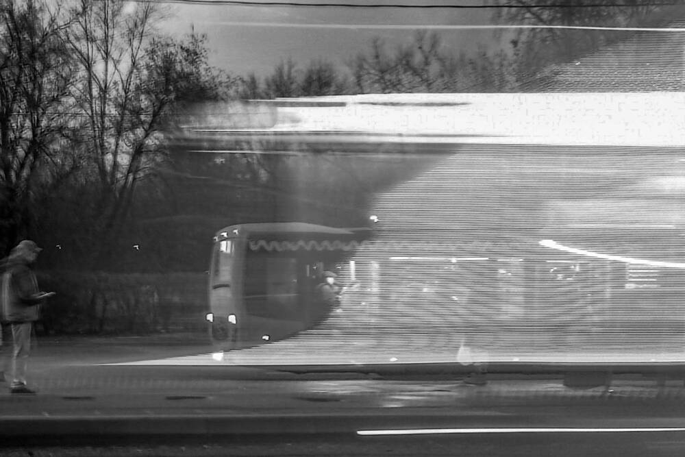 Photo #12825320