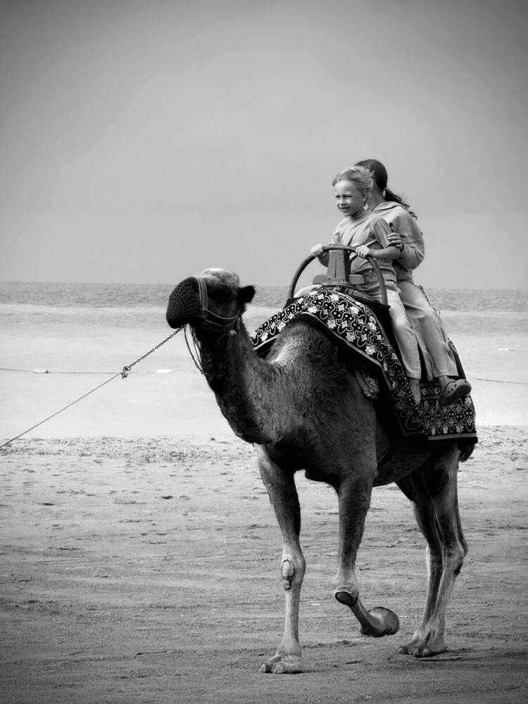 Photograph by Светлана