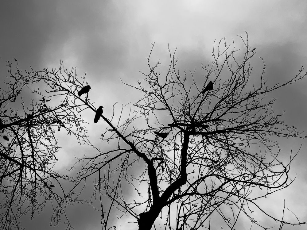 Photograph by Яна Сидорова