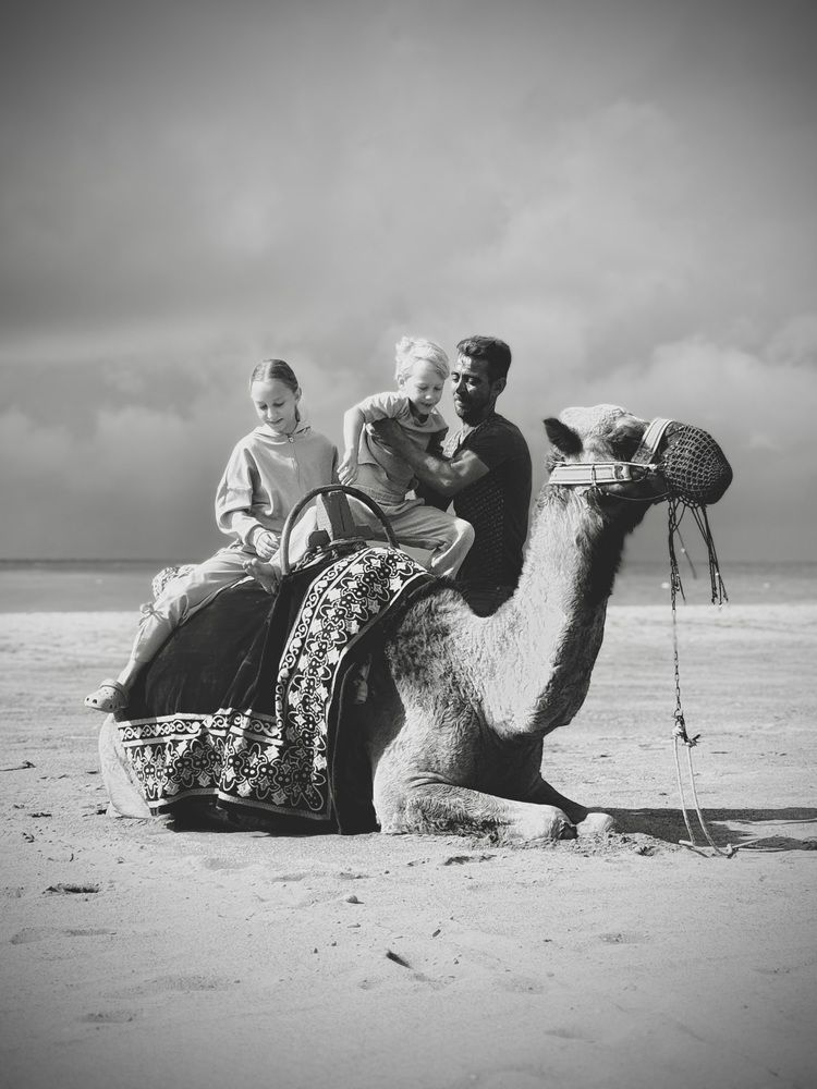 Photograph by Светлана