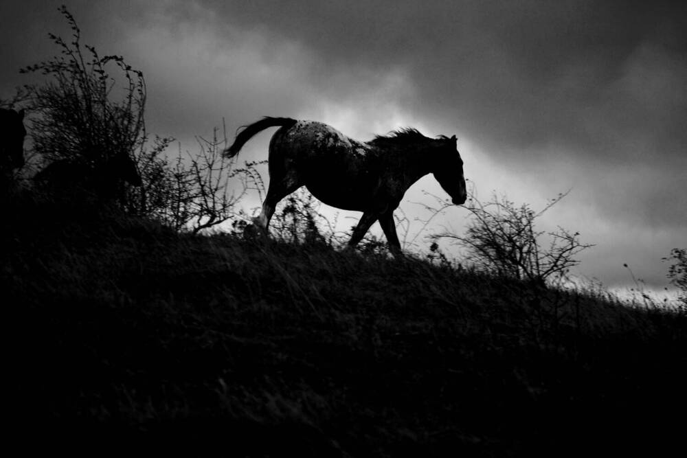 Photograph by Giuseppe Catalano