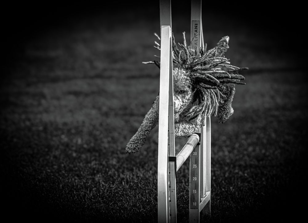 Фотография автора Izan Zufiaurre Sánchez