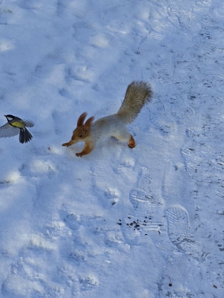 Photograph by Елена Шоколенко