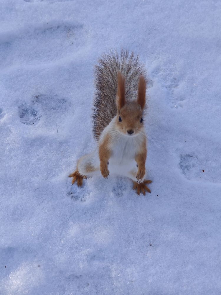 Photograph by Елена Шоколенко