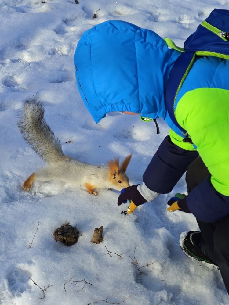 Photograph by Елена Шоколенко