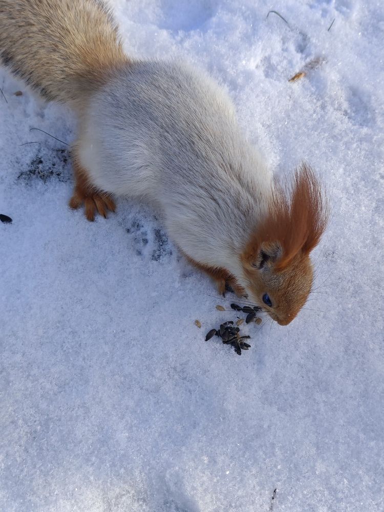 Photograph by Елена Шоколенко