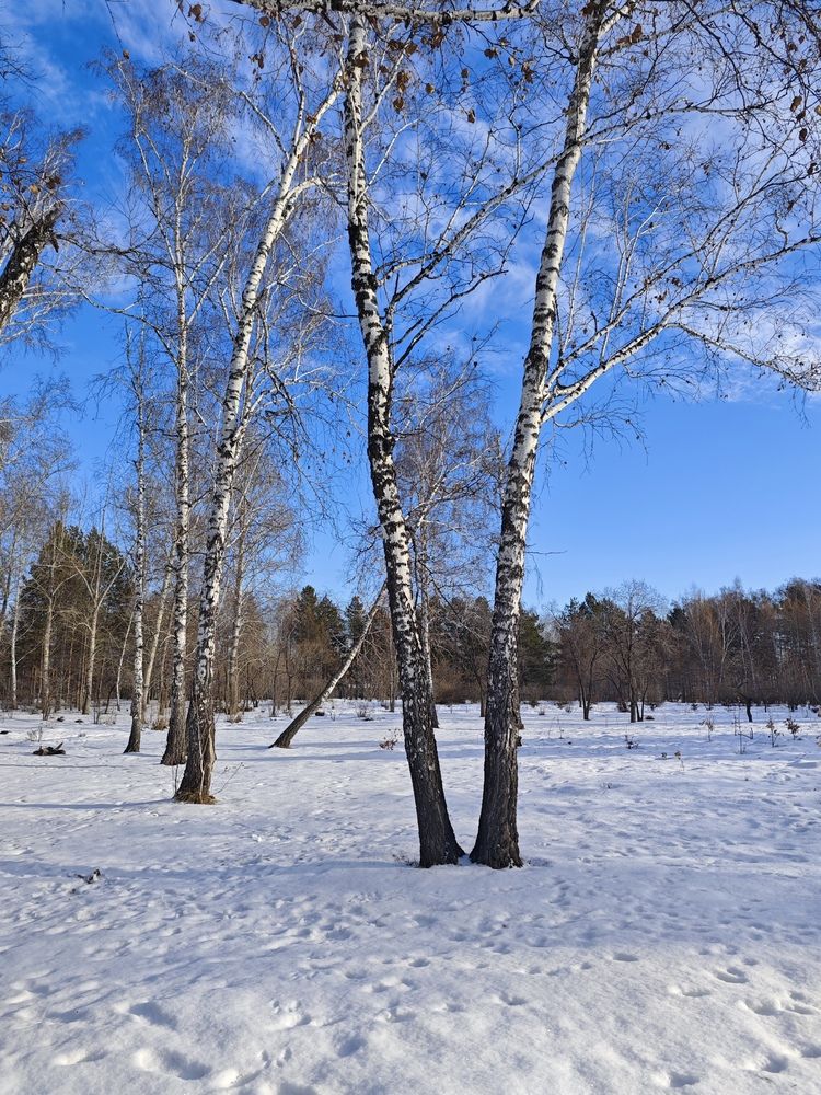 Photograph by Елена Шоколенко