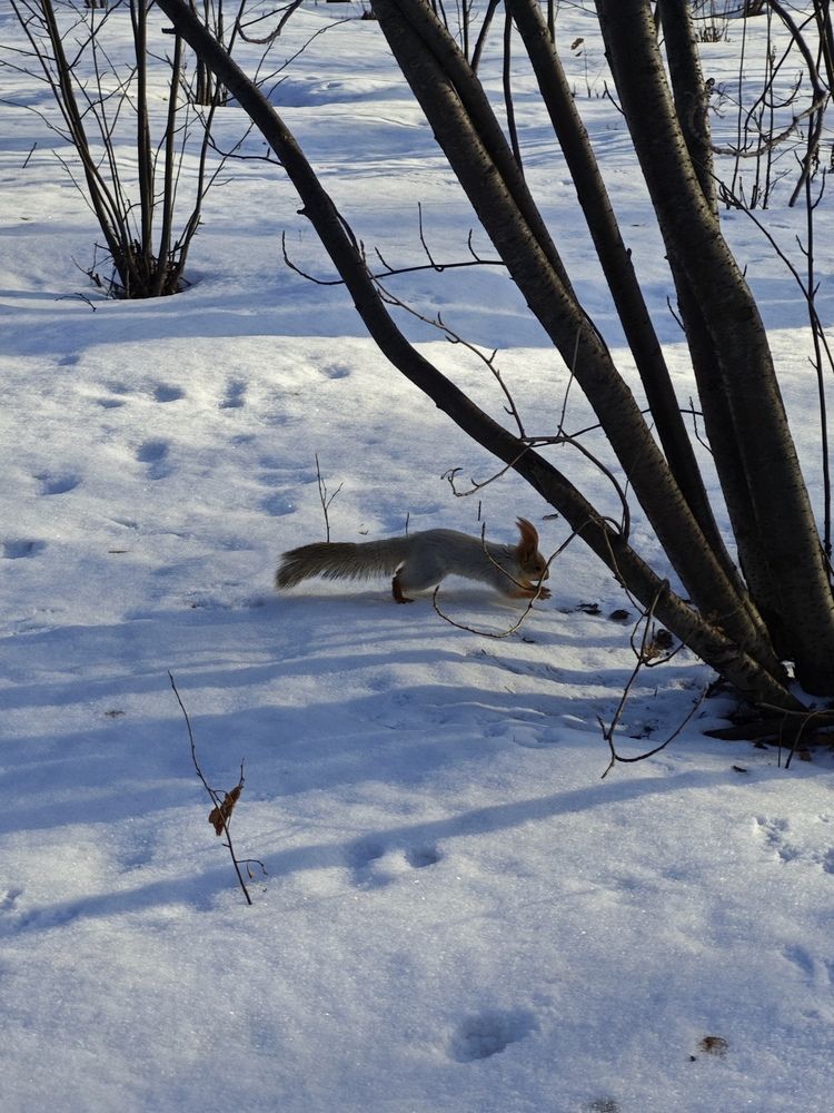 Photograph by Елена Шоколенко