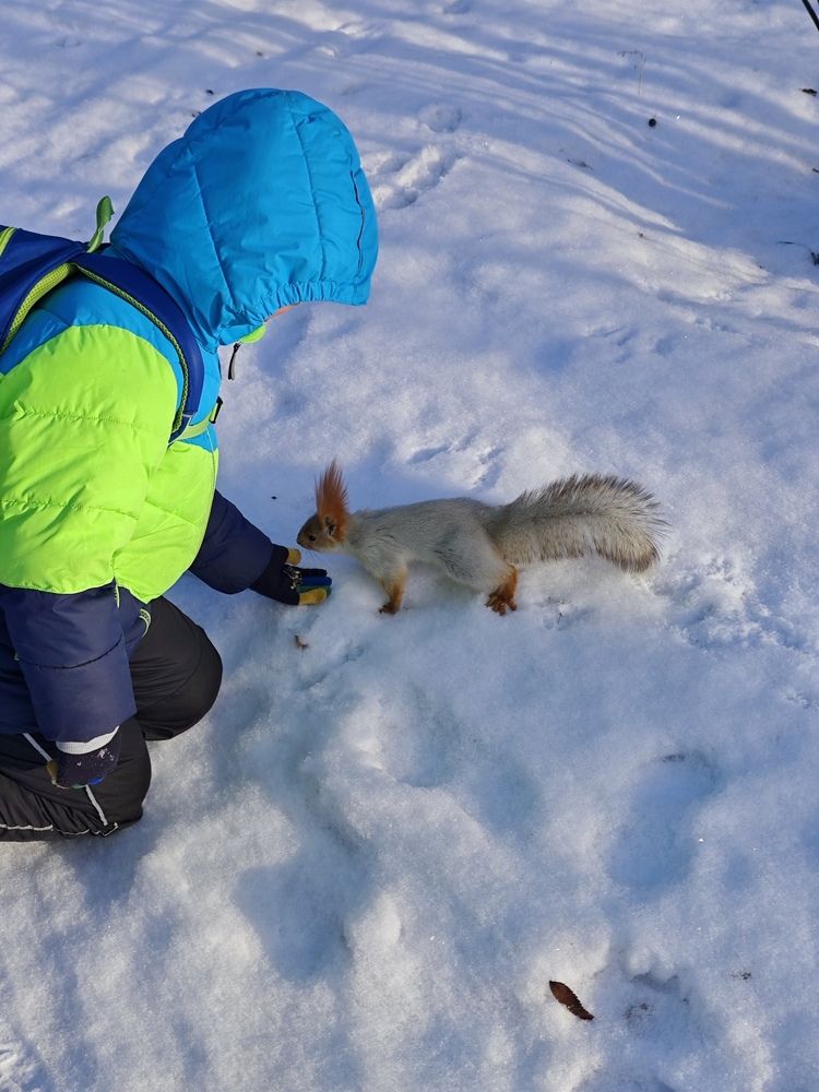 Photograph by Елена Шоколенко