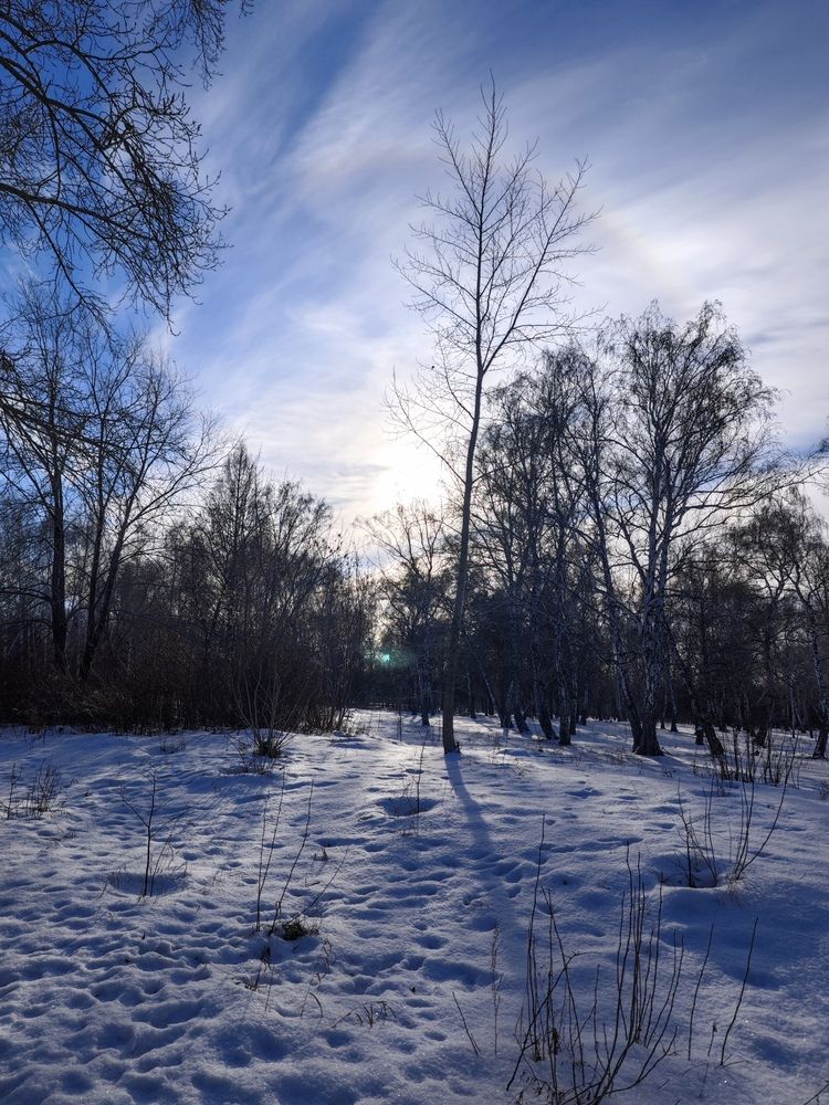 Photo #12825482
