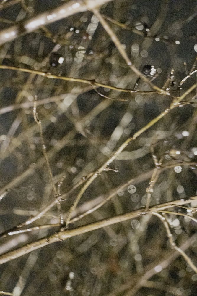 Photograph by Денис Сапрыкин