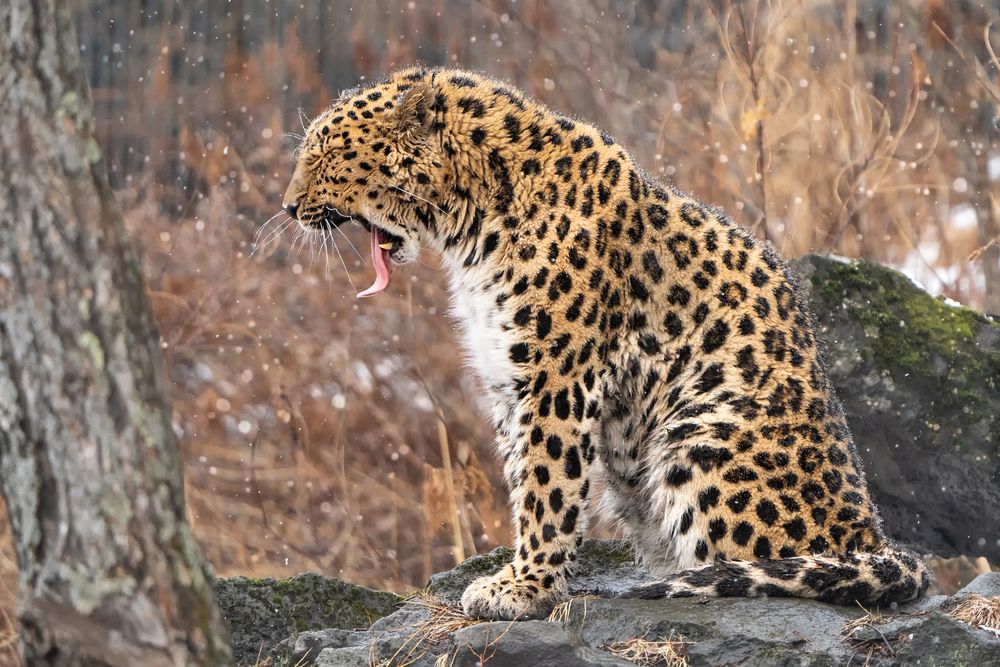 Photograph by Ольга Мусиенко