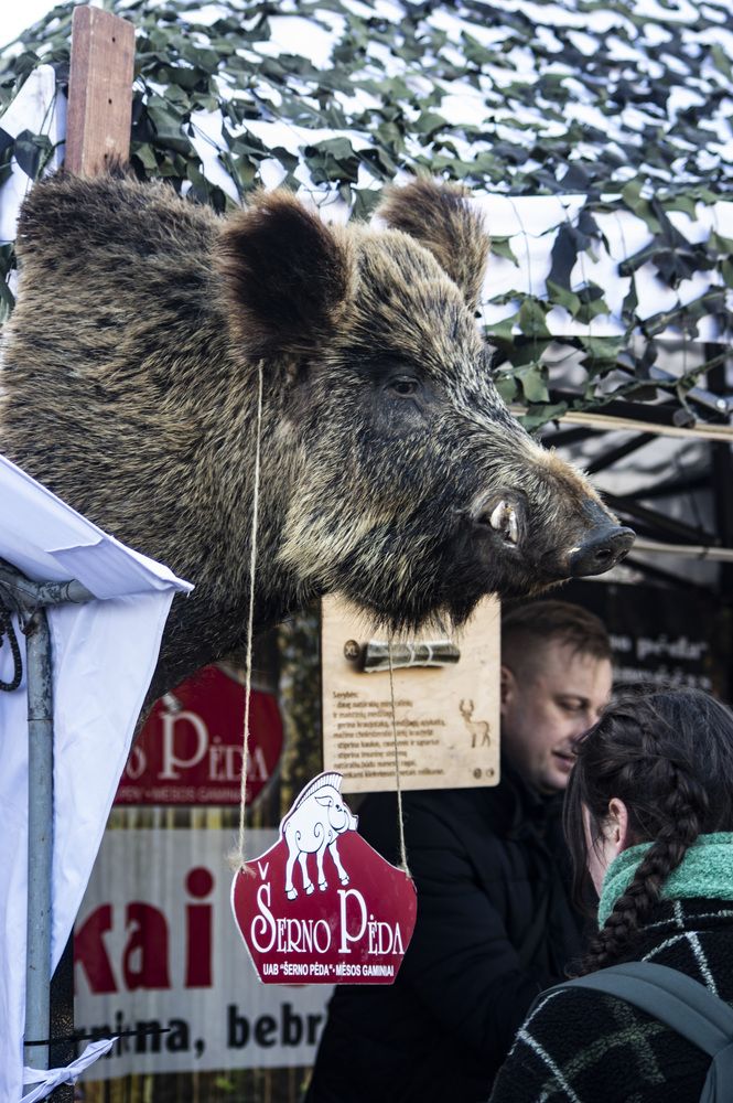 Photograph by Marina Lucenko