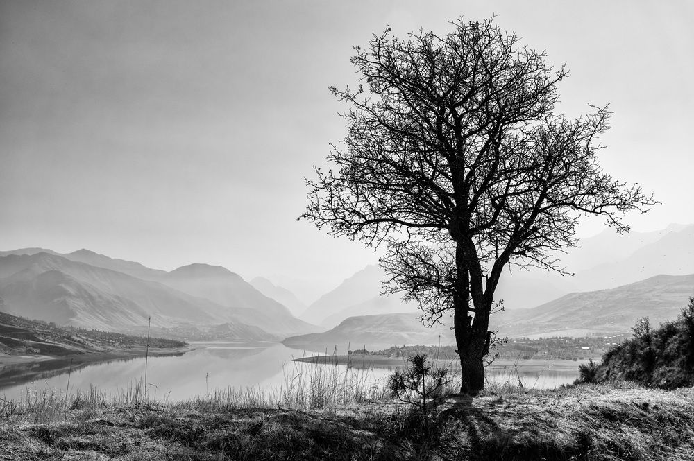 Жизнь с видом на Мир.