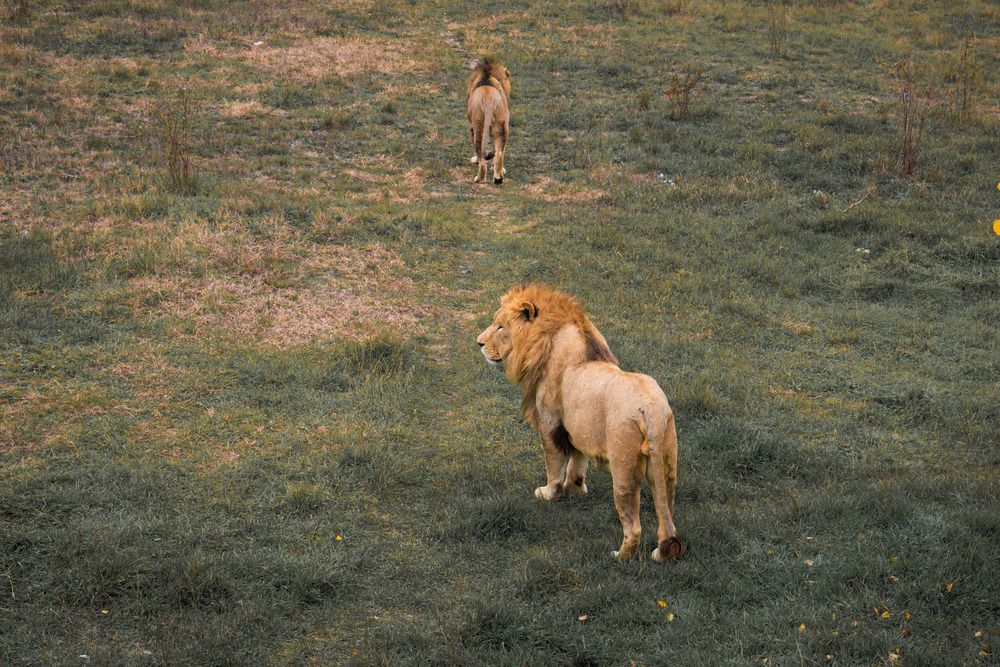 Фотография автора Ярослав Качура