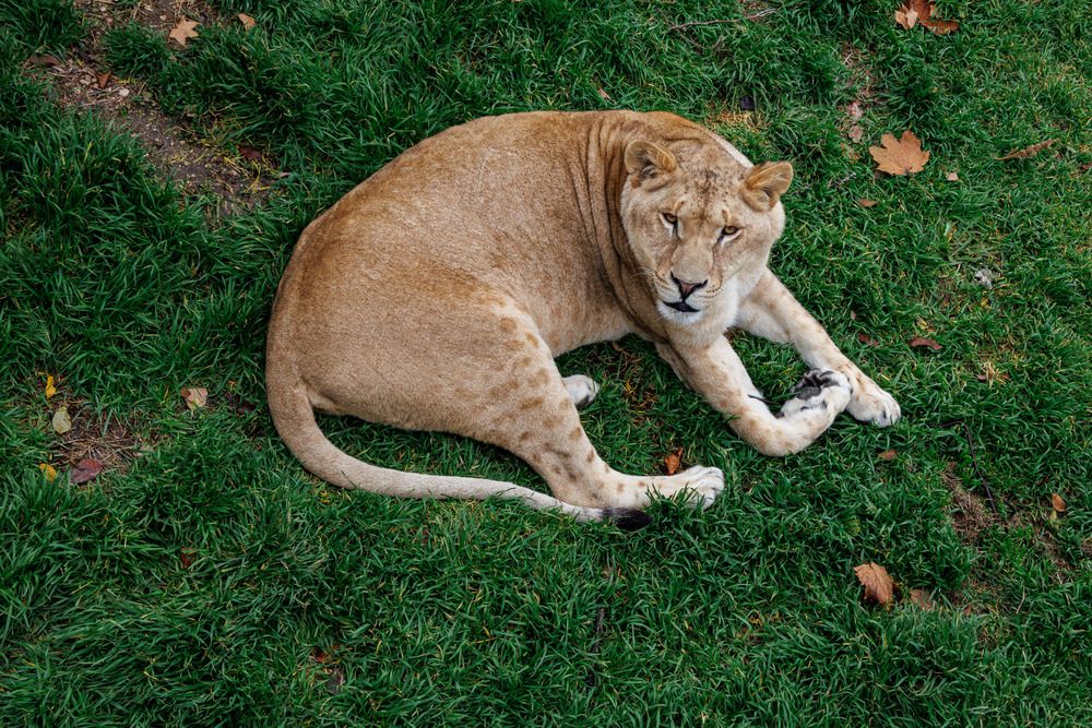 Фотография автора Ярослав Качура