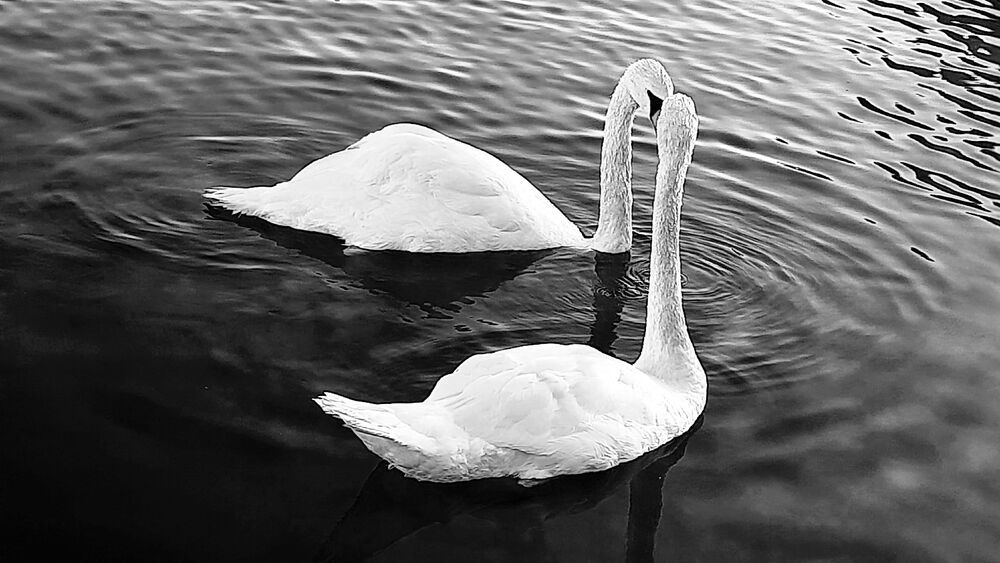 Когда любовь на всю жизнь.