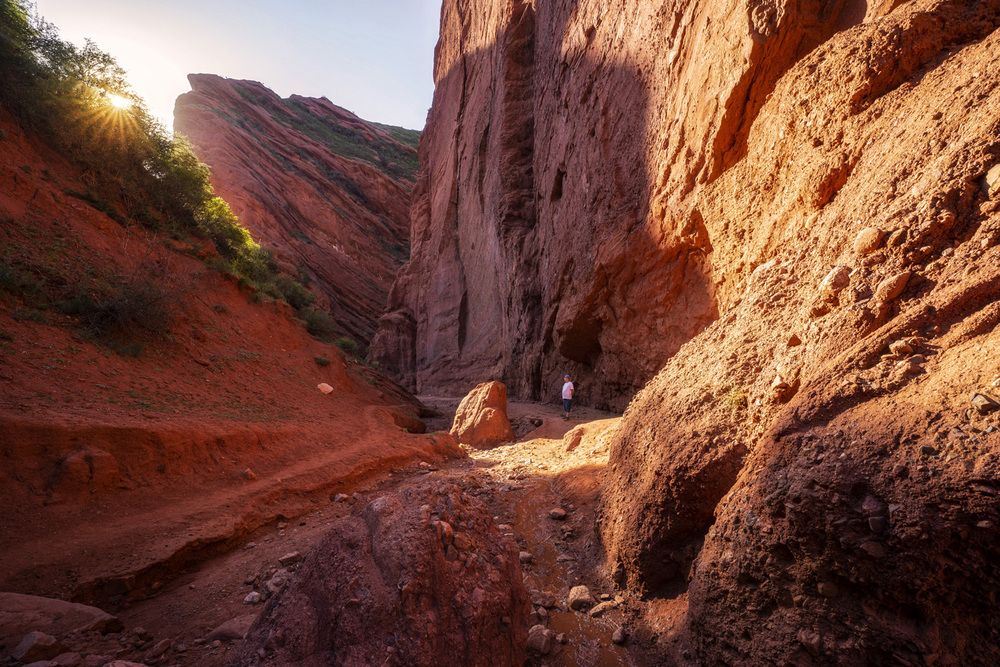 Фотография автора Татьяна Добровольская