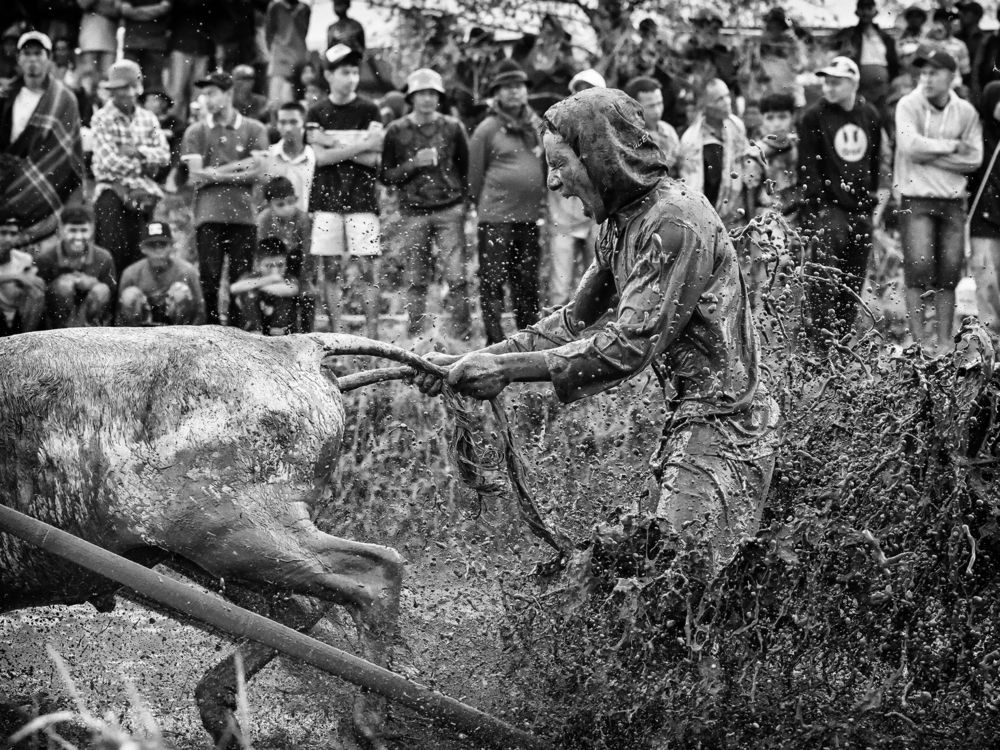 Photograph by Jurica Galic