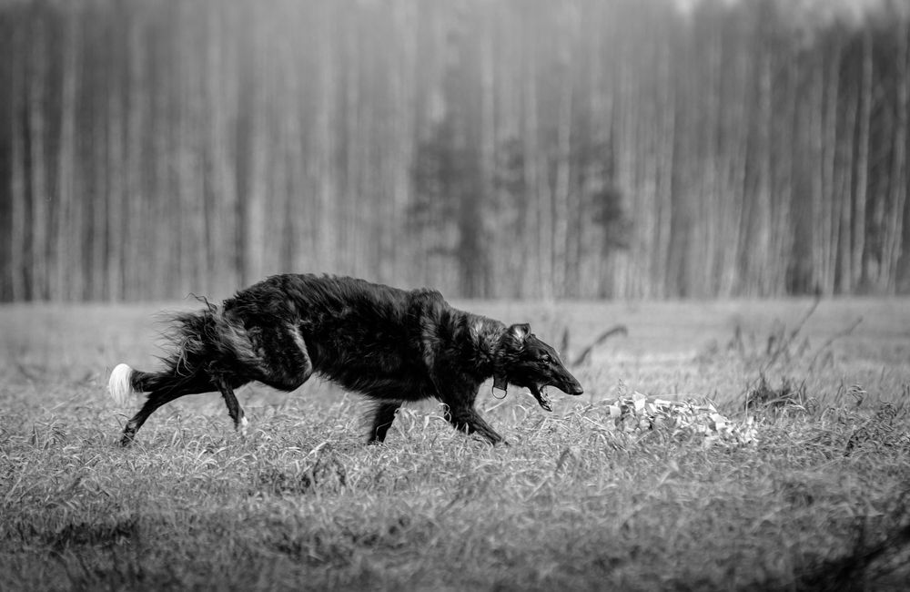 Photograph by Виолетта Бастет